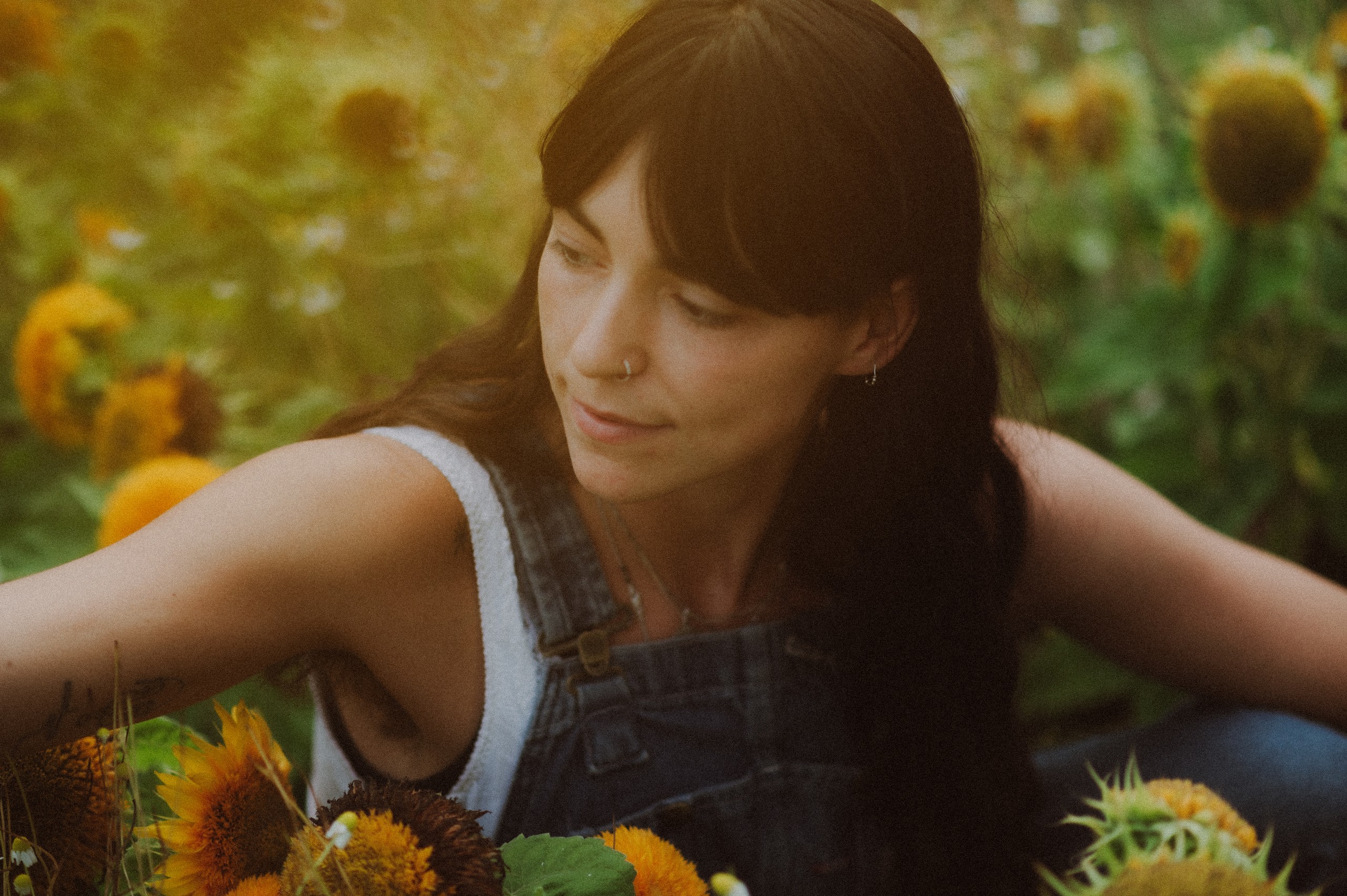 Sunflowers portrait